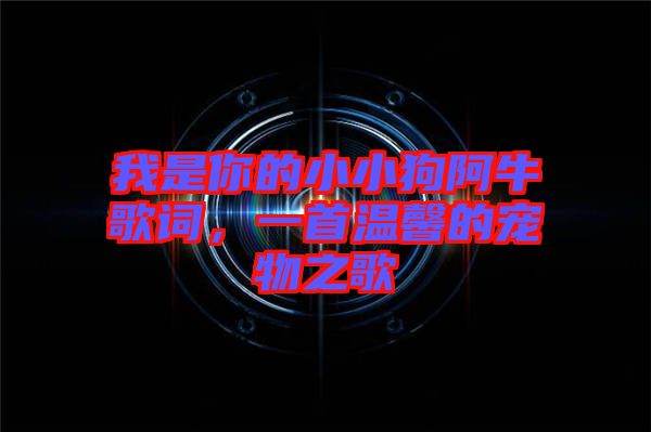 我是你的小小狗阿牛歌詞,一首溫馨的寵物之歌