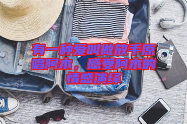 有一種愛叫做放手原唱阿木,感受阿木的情感演繹