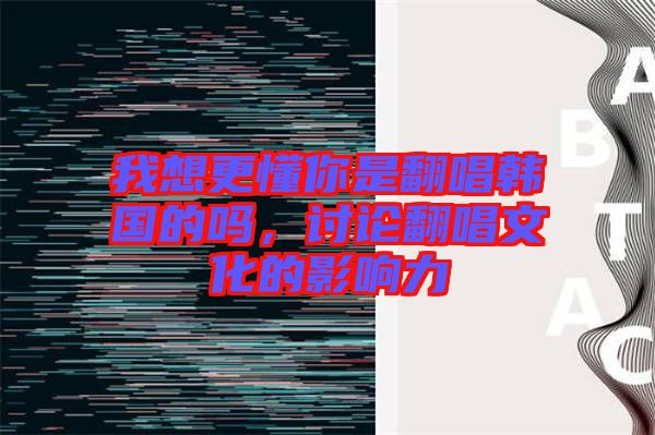 我想更懂你是翻唱韓國的嗎,討論翻唱文化的影響力