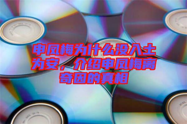 申鳳梅為什么沒入土為安,介紹申鳳梅離奇因的真相