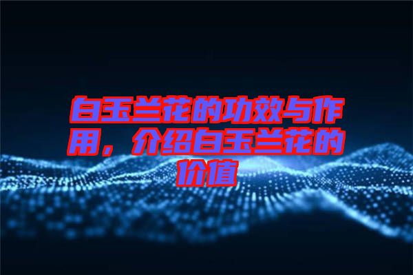 白玉蘭花的功效與作用,介紹白玉蘭花的價值