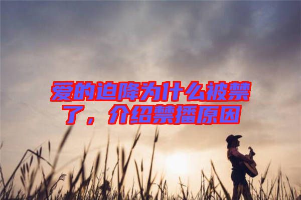 愛的迫降為什么被禁了,介紹禁播原因