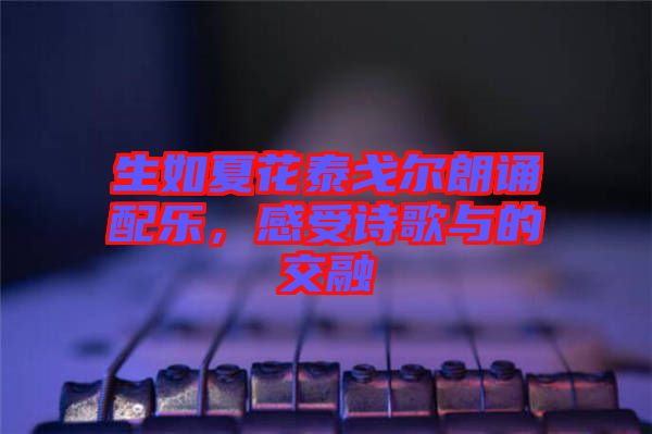 生如夏花泰戈?duì)柪收b配樂,感受詩歌與的交融