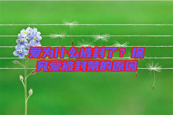 愛為什么被封了?探究愛被封禁的原因