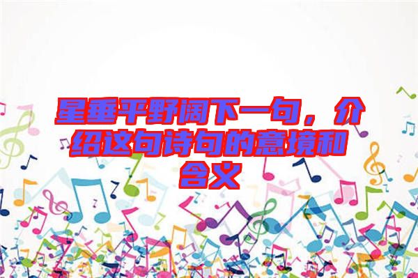 星垂平野闊下一句，介紹這句詩句的意境和含義