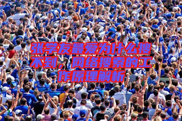 張學友最愛為什么搜不到,網絡搜索的工作原理解析