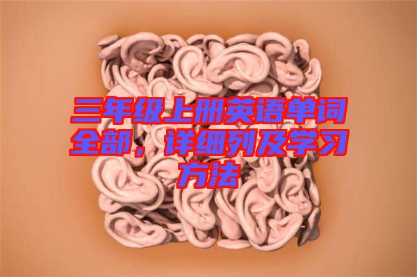 三年級上冊英語單詞全部,詳細列及學習方法