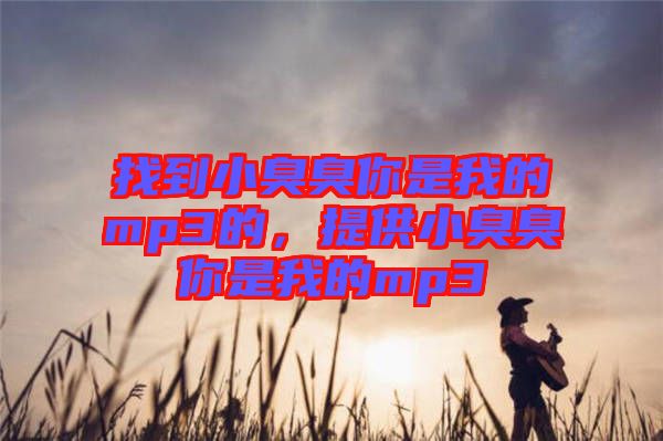 找到小臭臭你是我的mp3的，提供小臭臭你是我的mp3