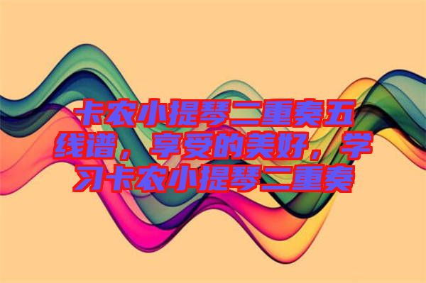 卡農小提琴二重奏五線譜,享受的美好,學習卡農小提琴二重奏