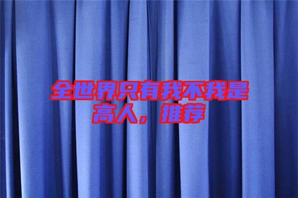 全世界只有我不我是高人，推薦