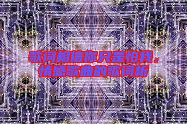 歌詞相信你只是怕我,情感歌曲的歌詞析