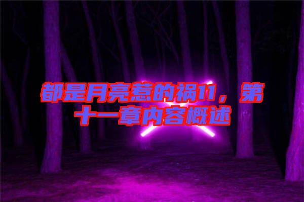 都是月亮惹的禍11,第十一章內(nèi)容概述
