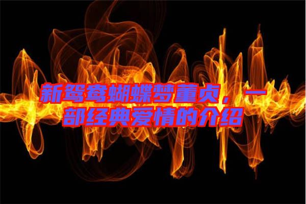 新鴛鴦蝴蝶夢董貞,一部經(jīng)典愛情的介紹