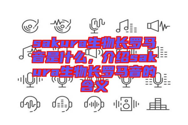 sakura生物長羅馬音是什么,介紹sakura生物長羅馬音的含義