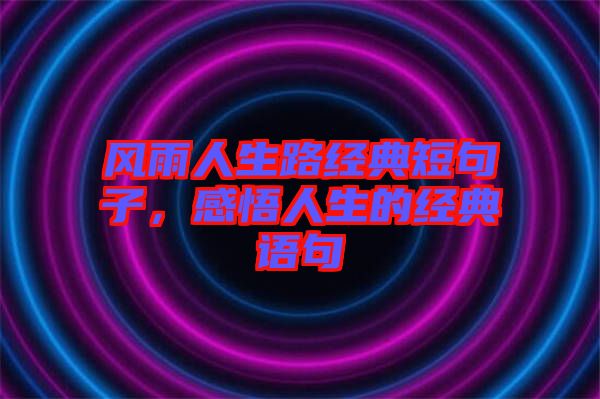 風(fēng)雨人生路經(jīng)典短句子,感悟人生的經(jīng)典語句
