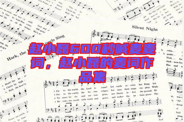 趙小磊600秒喊麥麥詞,趙小磊的麥詞作品集