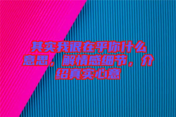 其實(shí)我很在乎你什么意思,解情感細(xì)節(jié),介紹真實(shí)心意
