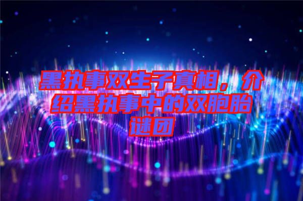 黑執(zhí)事雙生子真相,介紹黑執(zhí)事中的雙胞胎謎團