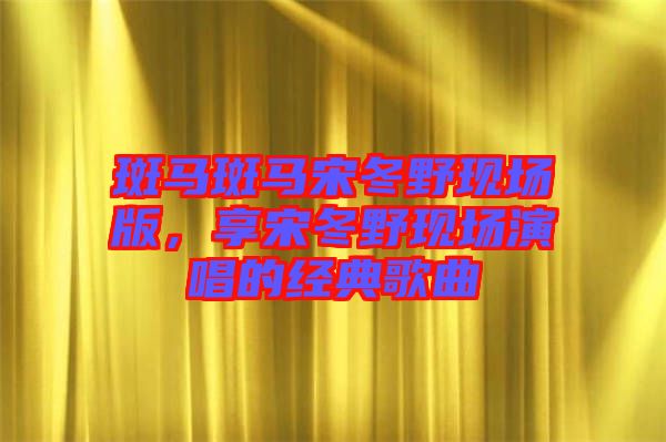 斑馬斑馬宋冬野現場版,享宋冬野現場演唱的經典歌曲