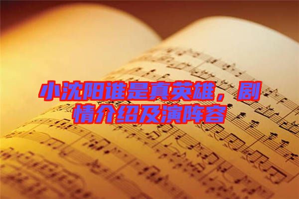 小沈陽誰是真英雄,劇情介紹及演陣容