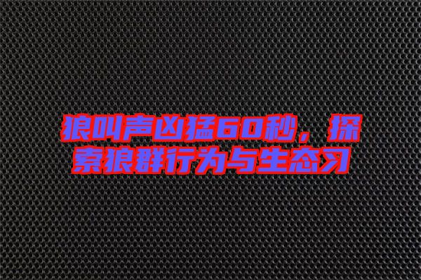 狼叫聲兇猛60秒,探索狼群行為與生態(tài)習(xí)