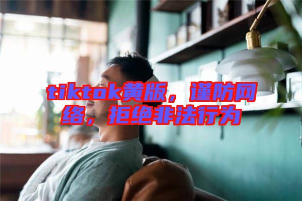 tiktok黃版,謹(jǐn)防網(wǎng)絡(luò),拒絕非法行為