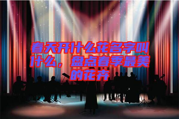 春天開什么花名字叫什么,盤點春季最美的花卉