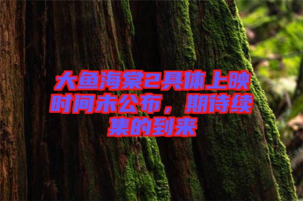 大魚海棠2具體上映時間未公布,期待續集的到來