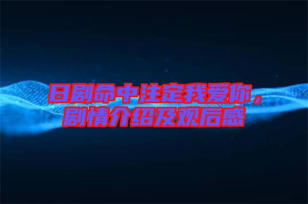 日劇命中注定我愛你，劇情介紹及觀后感