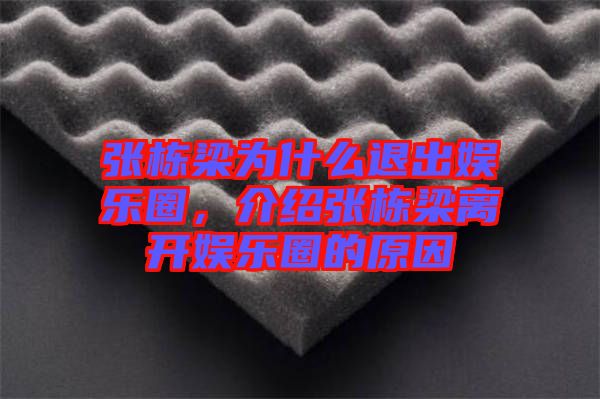 張棟梁為什么退出娛樂圈，介紹張棟梁離開娛樂圈的原因