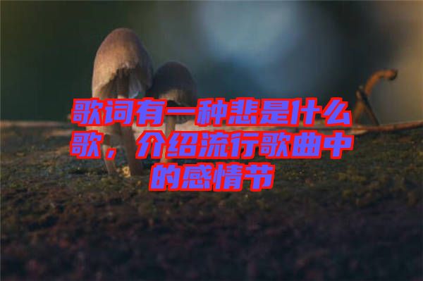 歌詞有一種悲是什么歌,介紹流行歌曲中的感情節