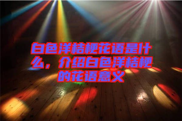 白色洋桔梗花語是什么,介紹白色洋桔梗的花語意義