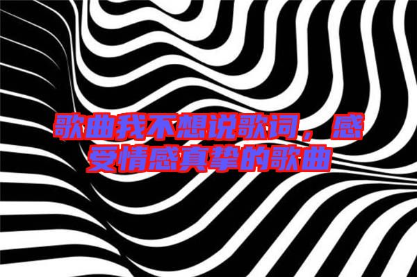歌曲我不想說歌詞,感受情感真摯的歌曲