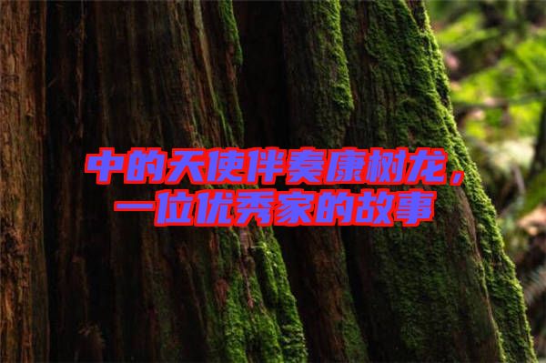 中的天使伴奏康樹(shù)龍,一位優(yōu)秀家的故事