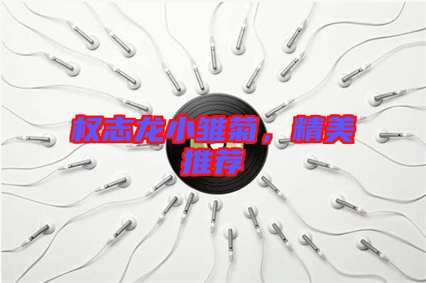 權志龍小雛菊,精美推薦