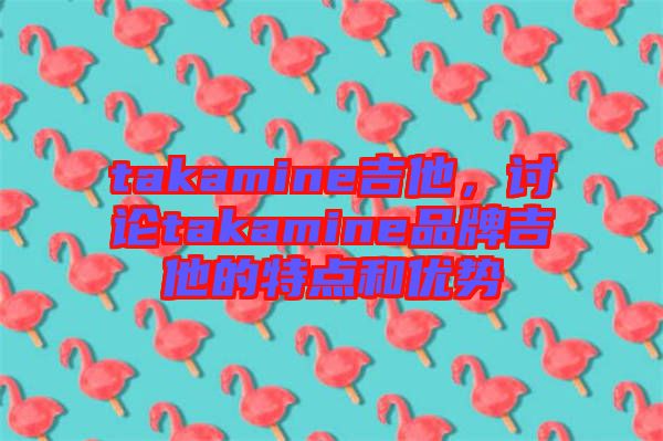 takamine吉他,討論takamine品牌吉他的特點(diǎn)和優(yōu)勢