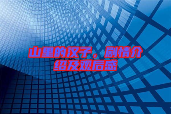 山里的漢子,劇情介紹及觀后感