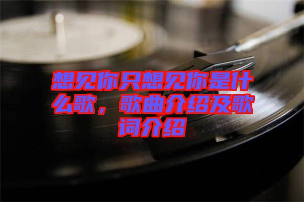 想見你只想見你是什么歌,歌曲介紹及歌詞介紹