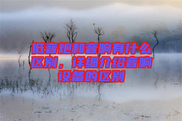 低音炮和音響有什么區(qū)別,詳細(xì)介紹音響設(shè)備的區(qū)別