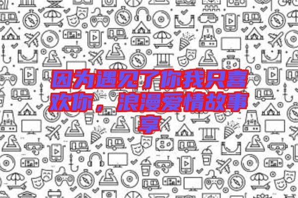 因為遇見了你我只喜歡你,浪漫愛情故事享