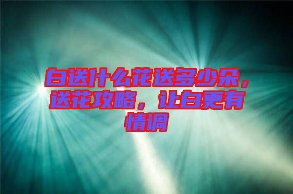 白送什么花送多少朵,送花攻略,讓白更有情調