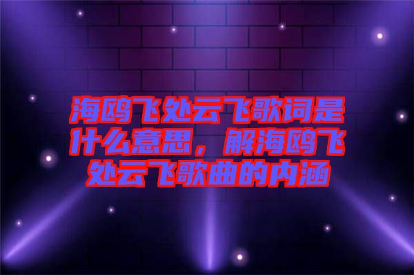 海鷗飛處云飛歌詞是什么意思,解海鷗飛處云飛歌曲的內涵