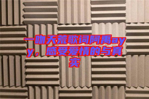 一吻天荒歌詞阿禹ayy,感受愛情的與真實(shí)