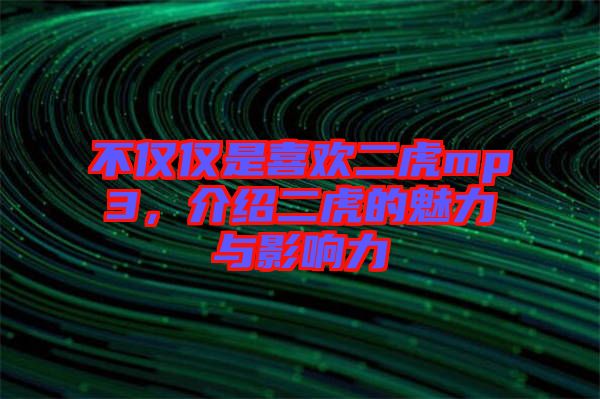 不僅僅是喜歡二虎mp3,介紹二虎的魅力與影響力