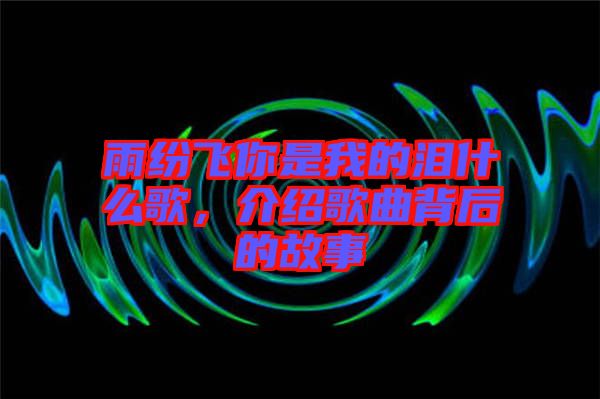雨紛飛你是我的淚什么歌,介紹歌曲背后的故事