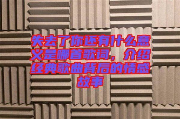 失去了你還有什么意義是哪首歌詞,介紹經(jīng)典歌曲背后的情感故事
