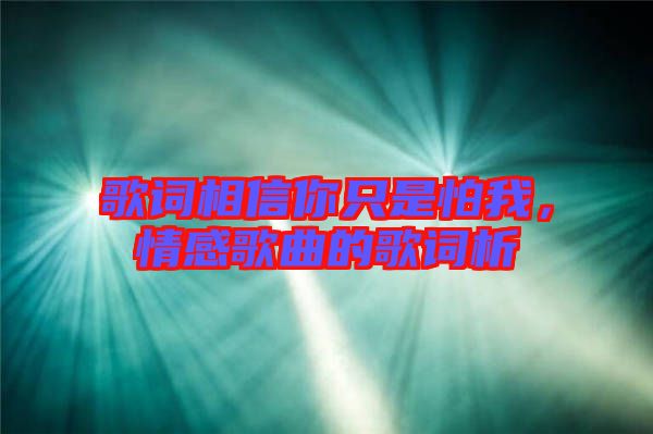 歌詞相信你只是怕我,情感歌曲的歌詞析