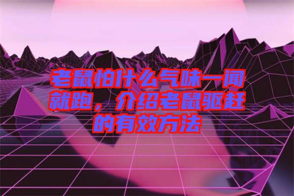 老鼠怕什么氣味一聞就跑,介紹老鼠驅趕的有效方法