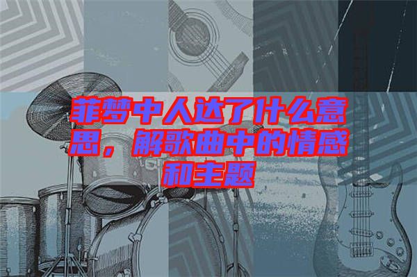 菲夢中人達了什么意思,解歌曲中的情感和主題