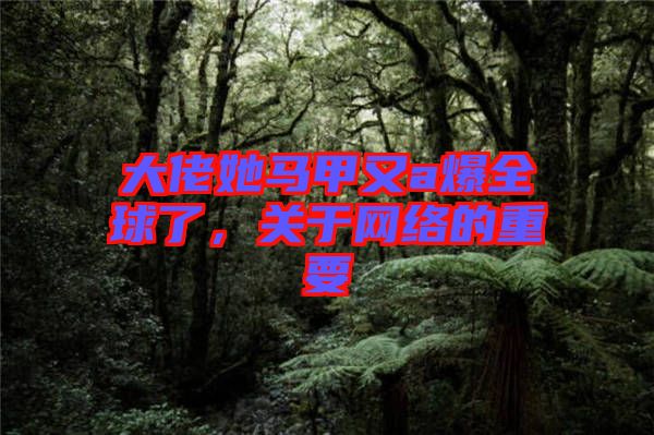 大佬她馬甲又a爆全球了,關(guān)于網(wǎng)絡(luò)的重要